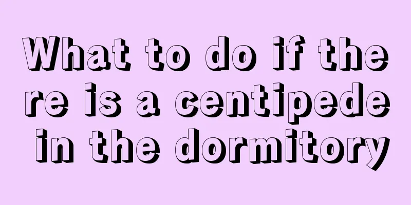 What to do if there is a centipede in the dormitory