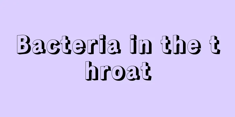 Bacteria in the throat