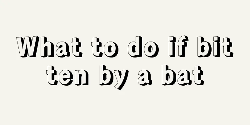 What to do if bitten by a bat