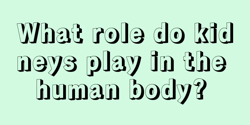 What role do kidneys play in the human body? 