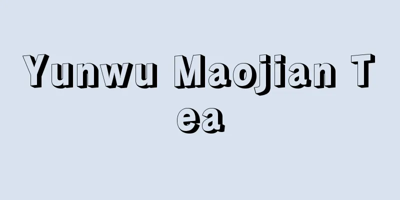 Yunwu Maojian Tea