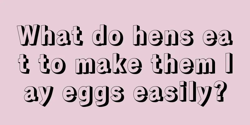 What do hens eat to make them lay eggs easily?
