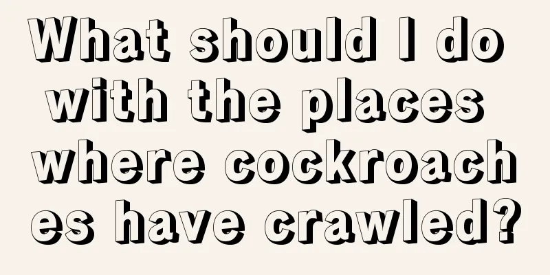 What should I do with the places where cockroaches have crawled?