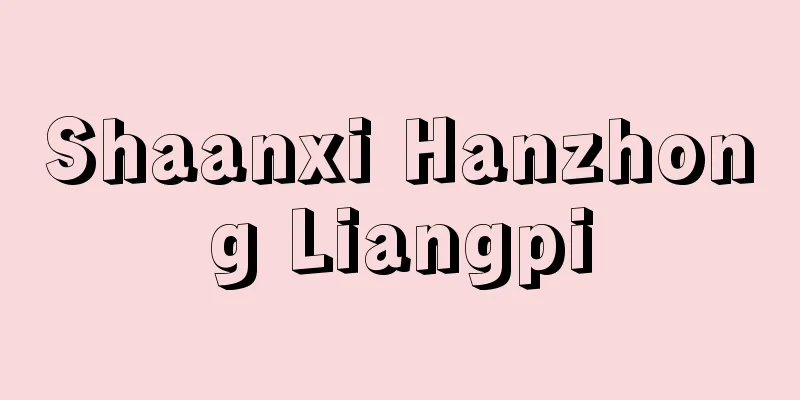 Shaanxi Hanzhong Liangpi