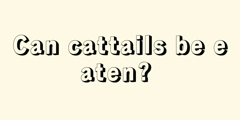 Can cattails be eaten? 