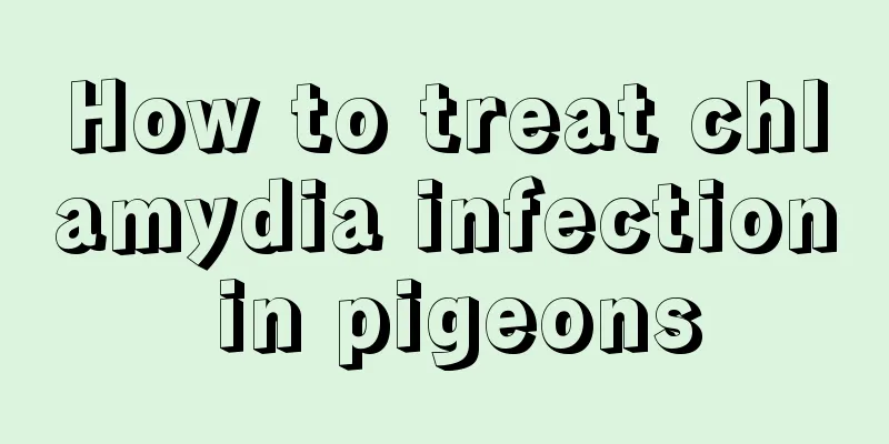 How to treat chlamydia infection in pigeons