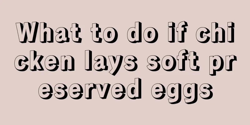 What to do if chicken lays soft preserved eggs