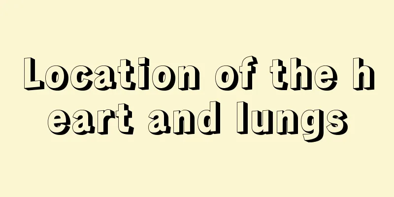 Location of the heart and lungs