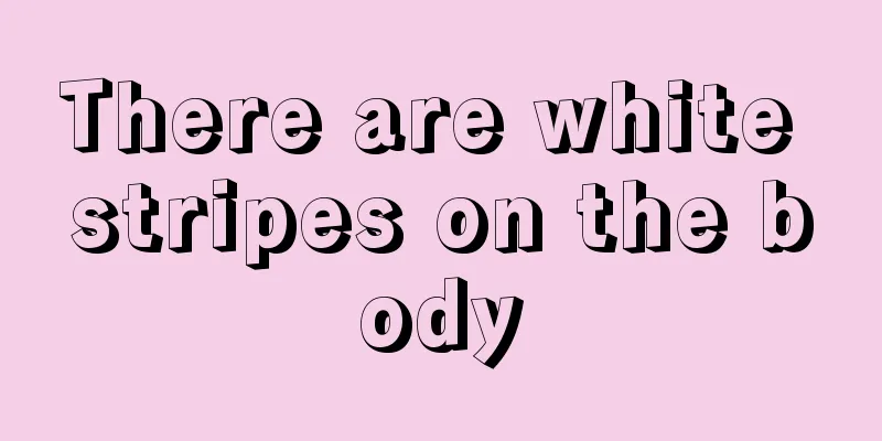 There are white stripes on the body