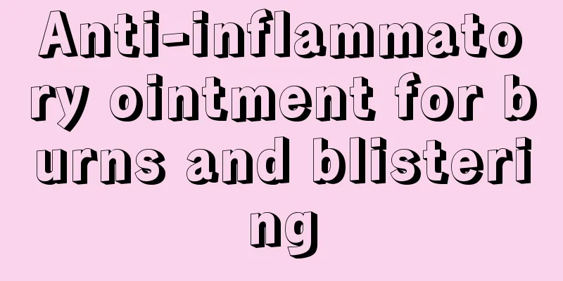 Anti-inflammatory ointment for burns and blistering
