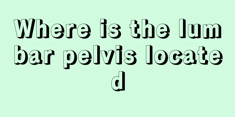 Where is the lumbar pelvis located