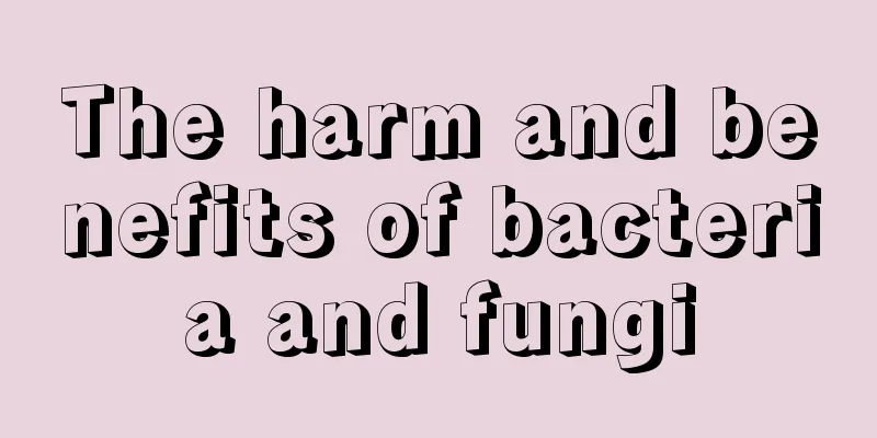 The harm and benefits of bacteria and fungi