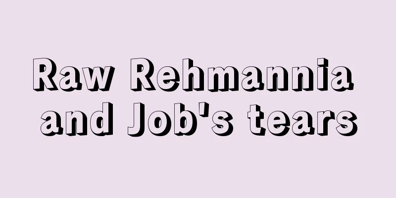 Raw Rehmannia and Job's tears