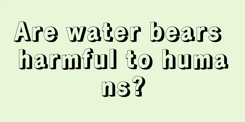 Are water bears harmful to humans?