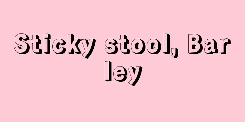 Sticky stool, Barley