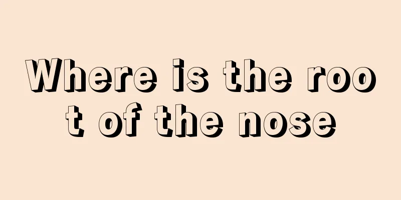 Where is the root of the nose