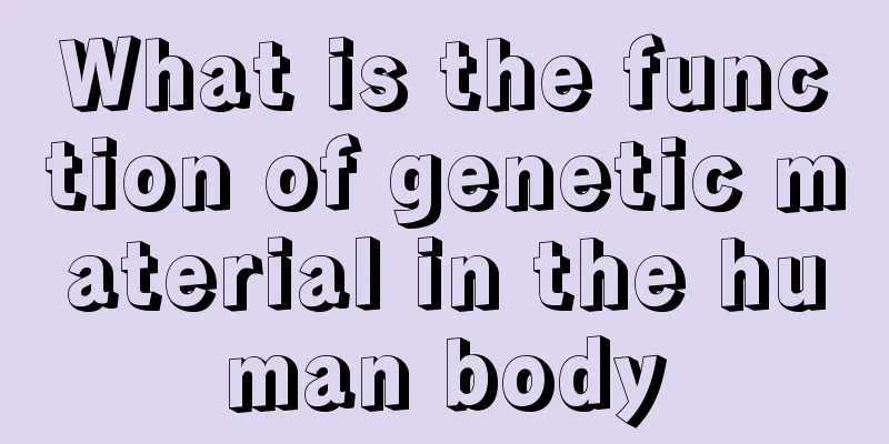 What is the function of genetic material in the human body