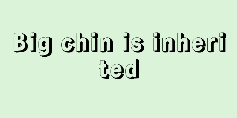 Big chin is inherited