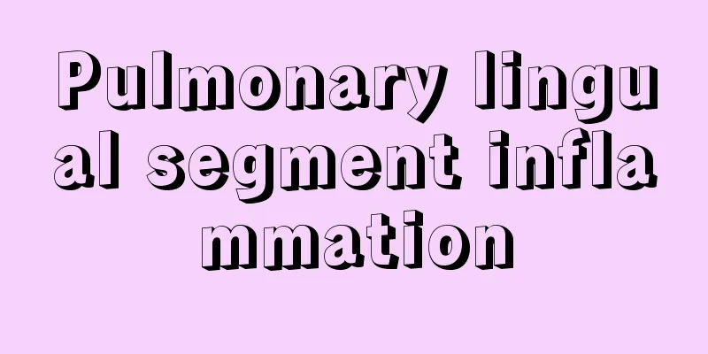 Pulmonary lingual segment inflammation