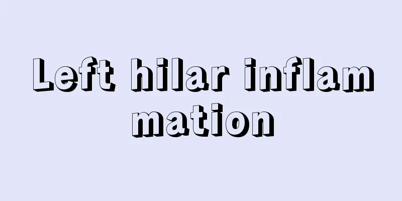 Left hilar inflammation