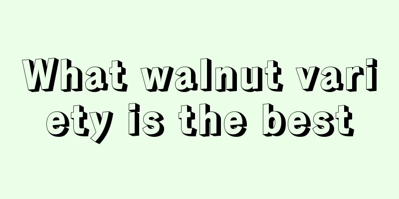 What walnut variety is the best