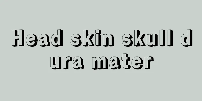 Head skin skull dura mater