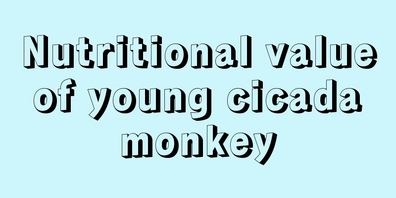 Nutritional value of young cicada monkey