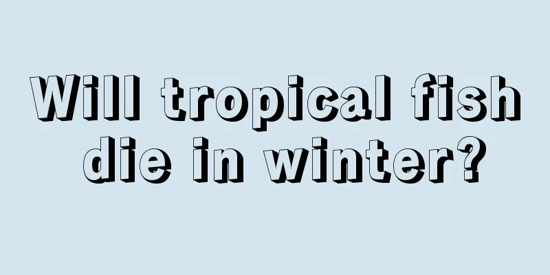 Will tropical fish die in winter?