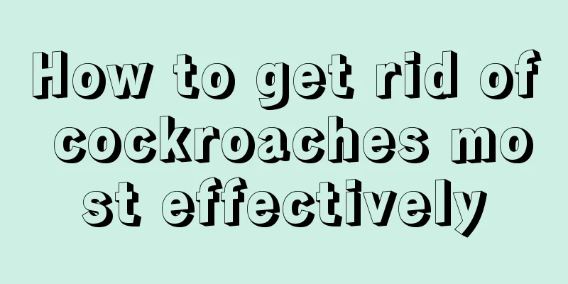 How to get rid of cockroaches most effectively