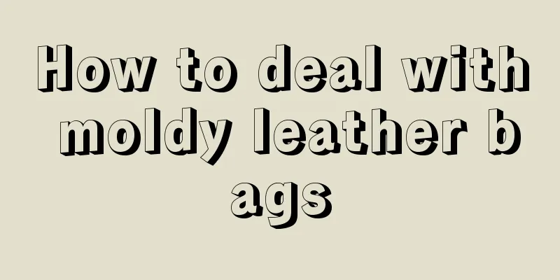 How to deal with moldy leather bags