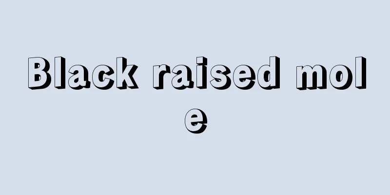 Black raised mole