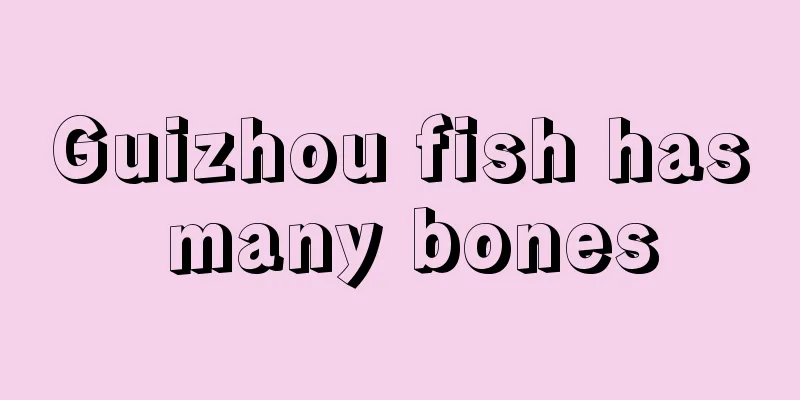 Guizhou fish has many bones