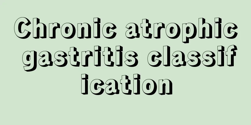 Chronic atrophic gastritis classification