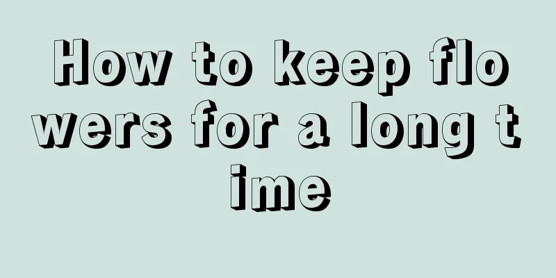 How to keep flowers for a long time
