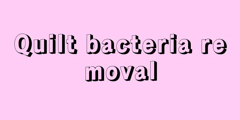 Quilt bacteria removal