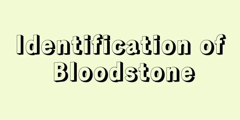 Identification of Bloodstone