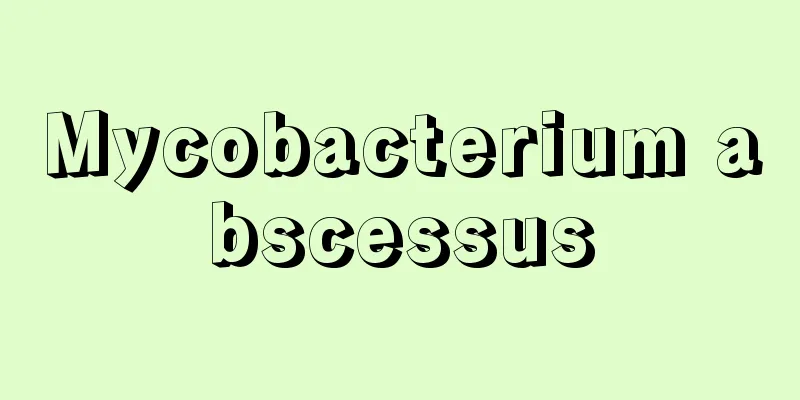 Mycobacterium abscessus