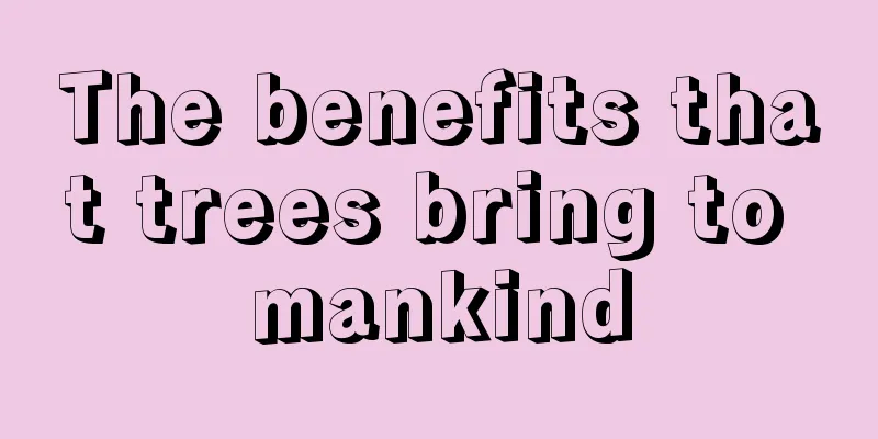 The benefits that trees bring to mankind