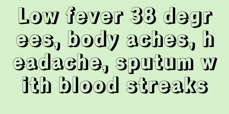 Low fever 38 degrees, body aches, headache, sputum with blood streaks