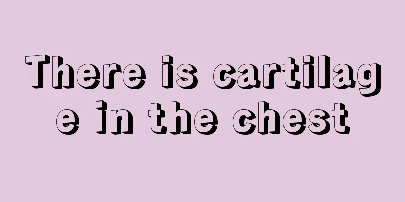 There is cartilage in the chest