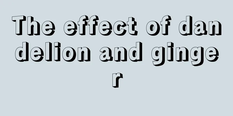 The effect of dandelion and ginger