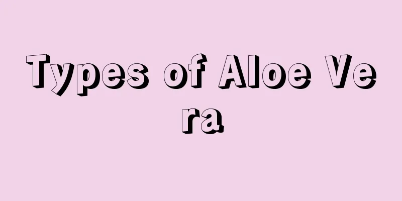 Types of Aloe Vera