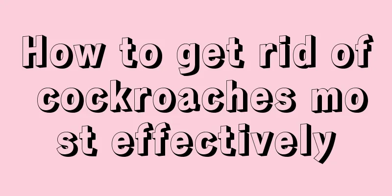 How to get rid of cockroaches most effectively