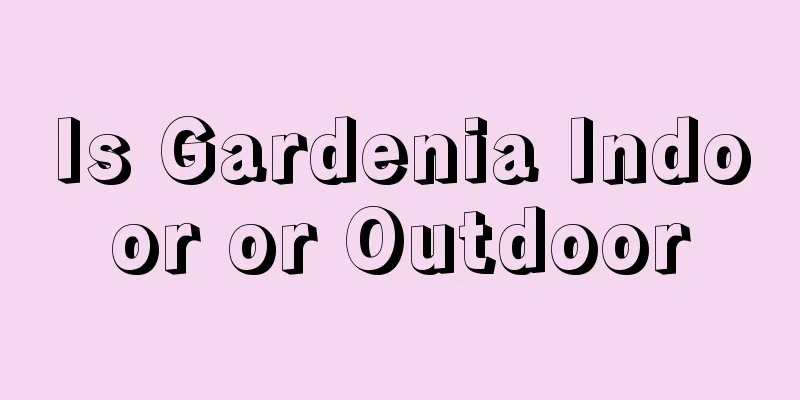 Is Gardenia Indoor or Outdoor