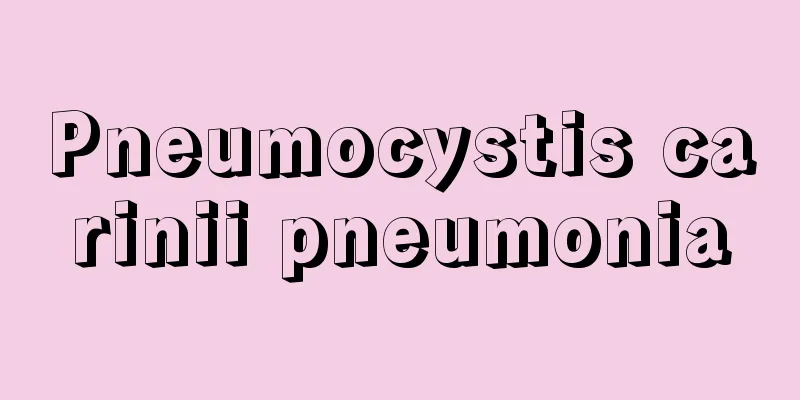 Pneumocystis carinii pneumonia