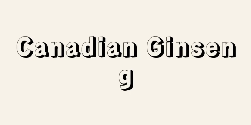 Canadian Ginseng