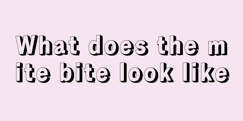 What does the mite bite look like