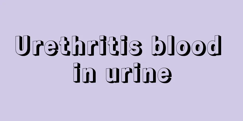 Urethritis blood in urine