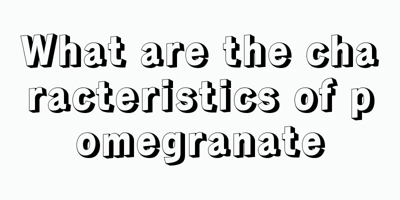 What are the characteristics of pomegranate