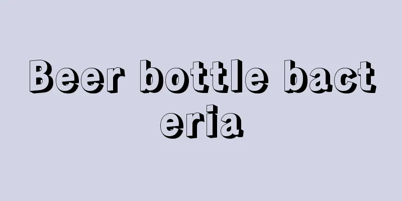 Beer bottle bacteria